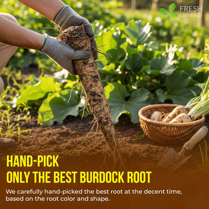 Premium 75 Burdock Root Tea Bags